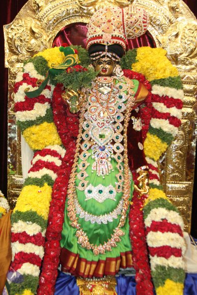 01-MEENAKSHI-TIRUKALYANAM_Photo_1020_IMG_5263_CMP_WM