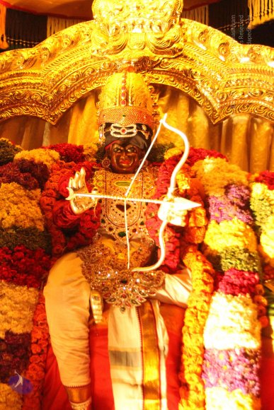 20150429_Photo_1003_IMG_5139_CMP_WM