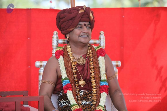 20151206_Photo_1075_IMG_5816_CMP_WM