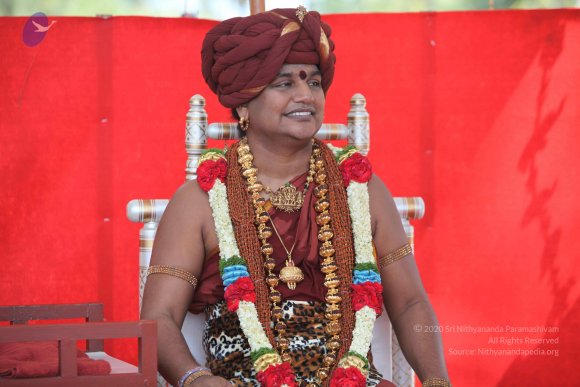 20151206_Photo_1076_IMG_5817_CMP_WM