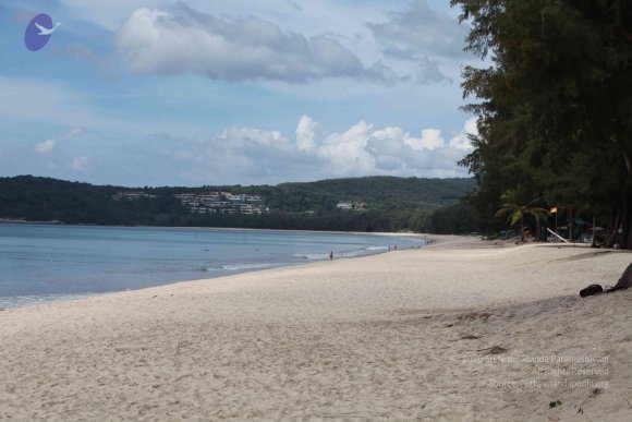 20151206_Photo_1084_IMG_5856_CMP_WM