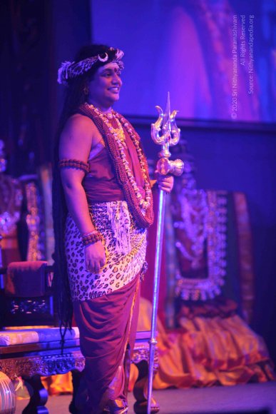 20151207_Photo_1031_IMG_6032_CMP_WM