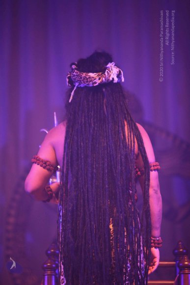 20151207_Photo_1060_IMG_6018_CMP_WM