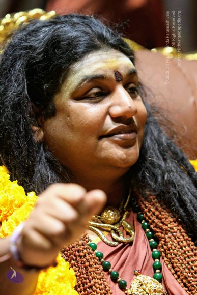 20151219_Photo_1001_1IfYMEKwUKK5ibYzbQoG1kSbBLd9-2vPZ