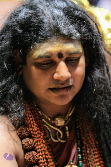 20151219_Photo_1015_1KgjzCMC2jp9-s-xlhM25McXo4_ESYkew