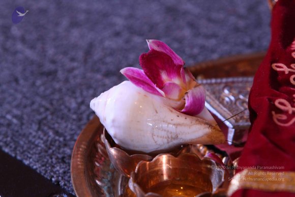 20151227_Photo_1011_IMG_1983_CMP_WM