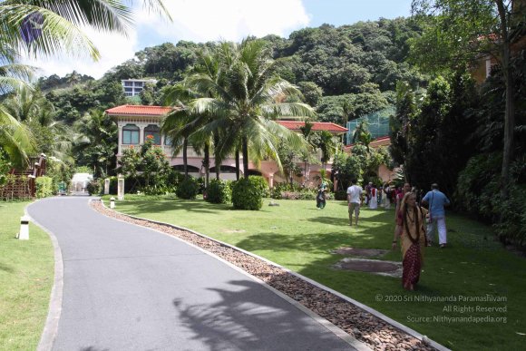 20151227_Photo_1019_IMG_1899_CMP_WM