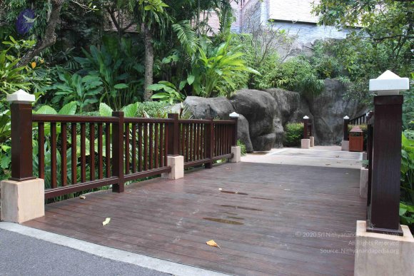 20151227_Photo_1034_IMG_1929_CMP_WM