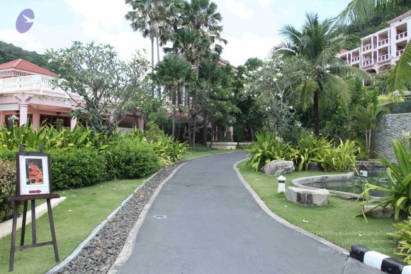 20151227_Photo_1049_IMG_1947_CMP_WM