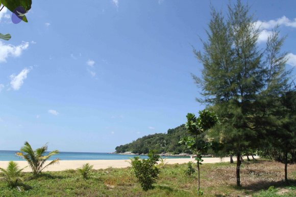 20151227_Photo_1062_IMG_1960_CMP_WM