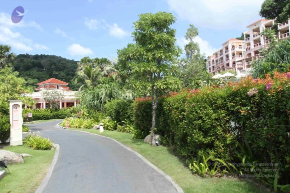 20151227_Photo_1065_IMG_1964_CMP_WM