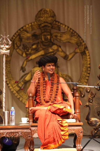 20151207_Photo_1036_IMG_0386_CMP_WM