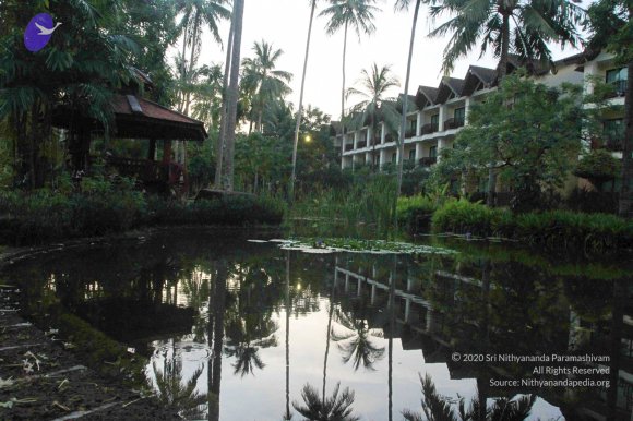 20151212_Photo_1001_IMG_1271_CMP_WM