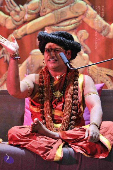 20151215_Photo_1019_IMG_0873_CMP_WM