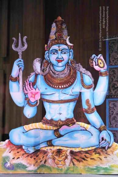 02--beach-near-hilton_Photo_1002_IMG_7749_CMP_WM