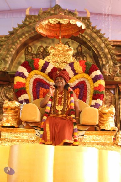 20150113_Photo_1037_IMG_6851_CMP_WM