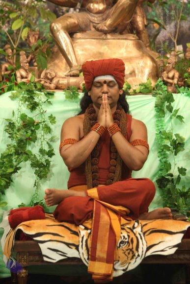 IMG_2438_Compressed_WM