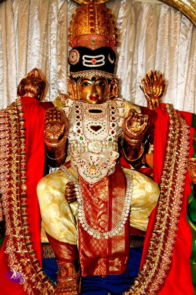 04-Galleria-And-Deities_Photo_1024_IMG_2394_CMP_WM