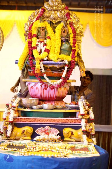 20150717_Photo_1000_IMG_9132_CMP_WM