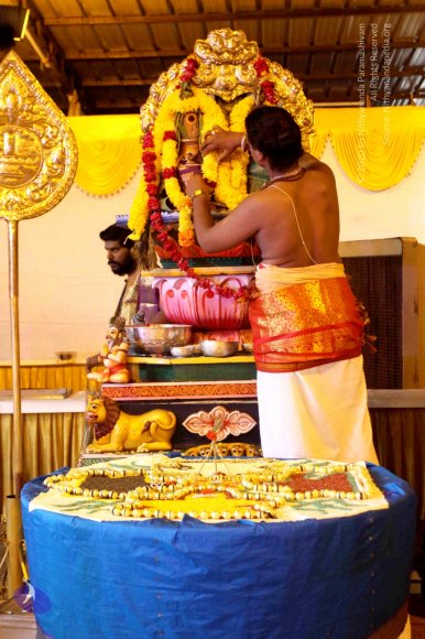 20150717_Photo_1009_IMG_9207_CMP_WM