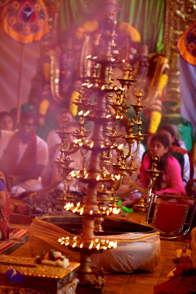 20150717_Photo_1013_IMG_9220_CMP_WM