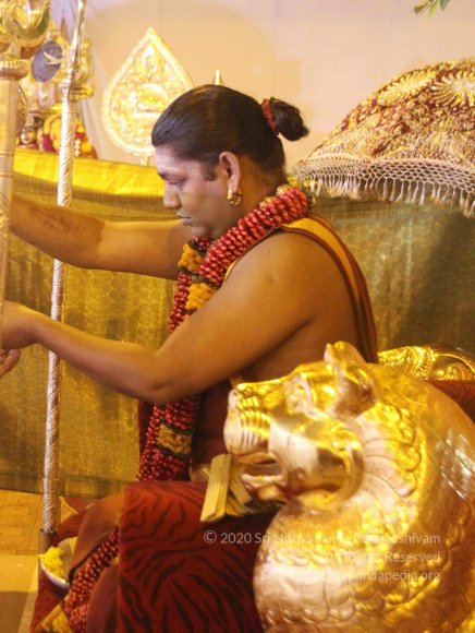 20150717_Photo_1047_IMG_9383_CMP_WM