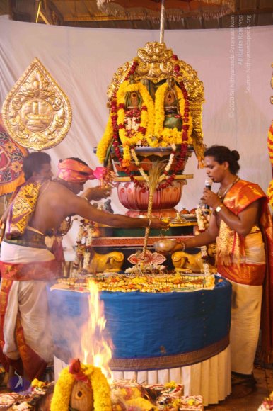 20150717_Photo_1129_IMG_9885_CMP_WM