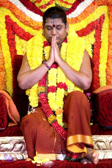 20150717_Photo_1133_IMG_9957_CMP_WM