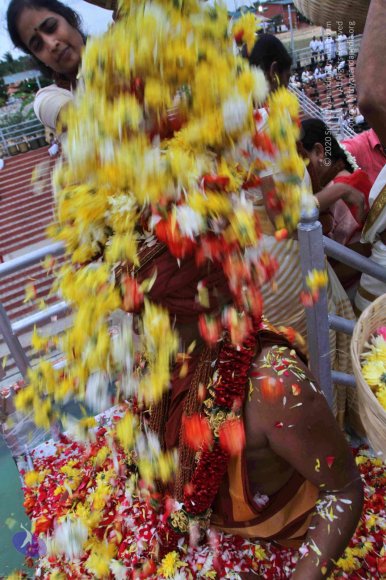 2-Vaidya-Sarovar_Photo_1013_IMG_4412_CMP_WM