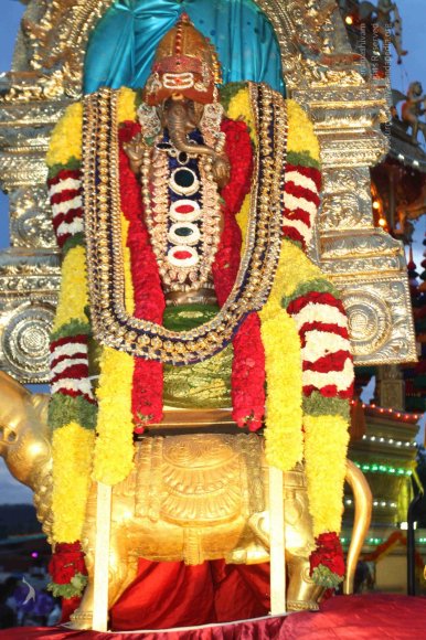 3-Rathotsavam_Photo_1014_IMG_4511_CMP_WM(1)