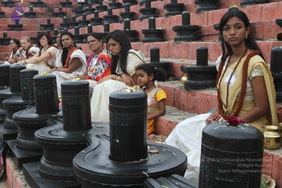 2015-July-31-_Photo_1002_IMG_4311_CMP_WM