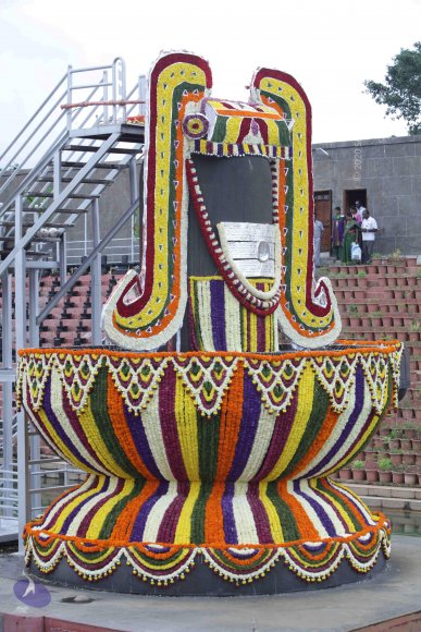 2015-July-31-_Photo_1024_IMG_4332a_CMP_WM