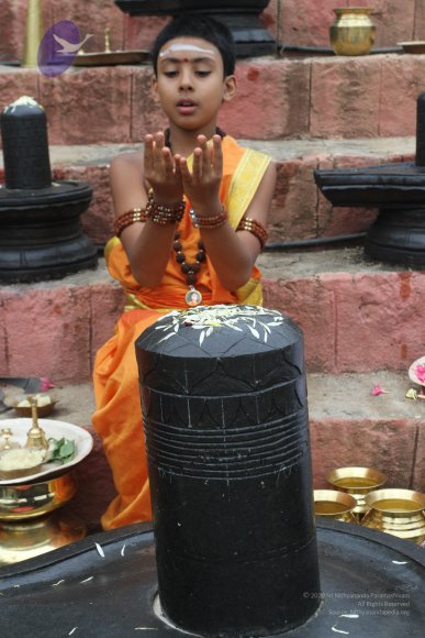 2015-July-31-_Photo_1040_IMG_4342_CMP_WM