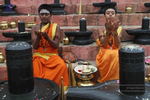 2015-July-31-_Photo_1042_IMG_4343_CMP_WM