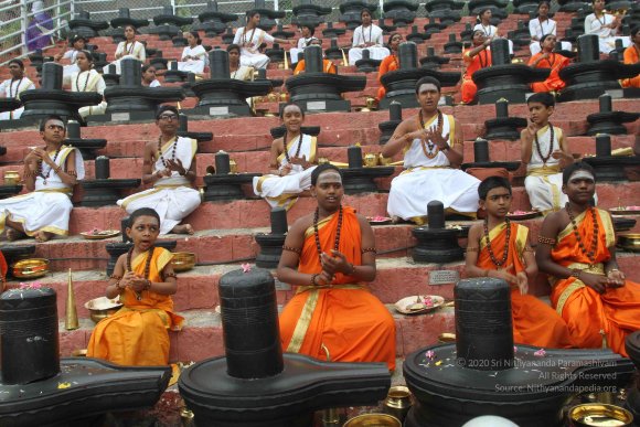 2015-July-31-_Photo_1047_IMG_4345a_CMP_WM