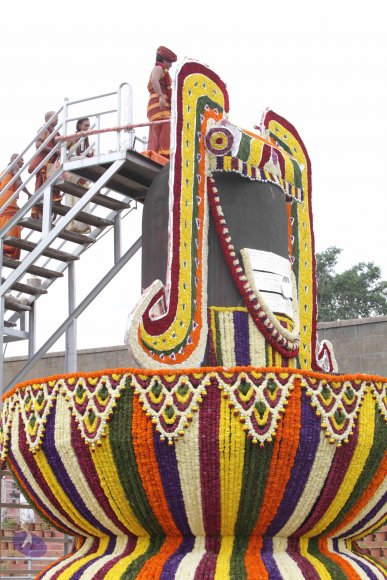 2015-July-31-_Photo_1050_IMG_4348_CMP_WM