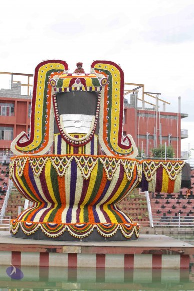 2015-July-31-_Photo_1063_IMG_4354a_CMP_WM