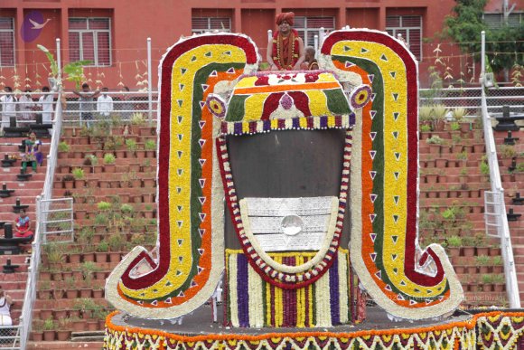 2015-July-31-_Photo_1074_IMG_4360_CMP_WM