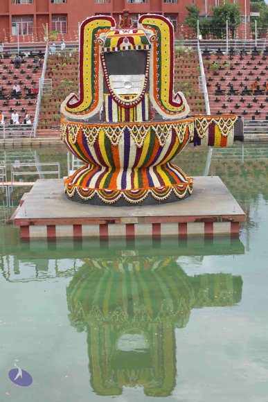 2015-July-31-_Photo_1095_IMG_4371_CMP_WM