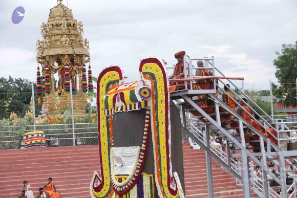 2015-July-31-_Photo_1102_IMG_4374a_CMP_WM