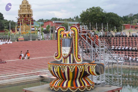 2015-July-31-_Photo_1107_IMG_4377_CMP_WM