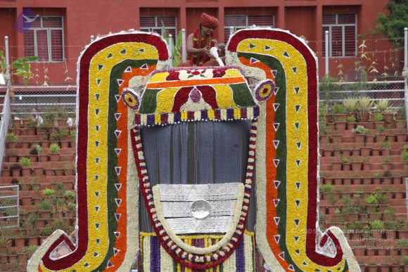 2015-July-31-_Photo_1113_IMG_4380a_CMP_WM