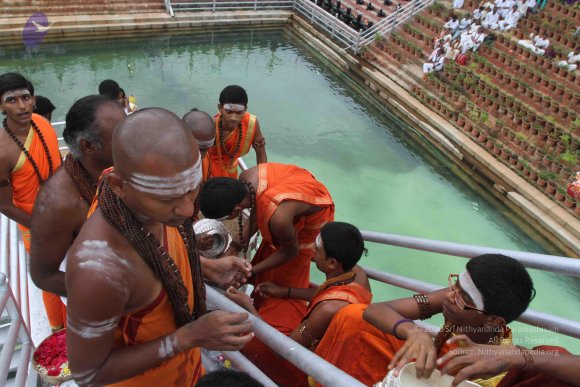 2015-July-31-_Photo_1131_IMG_4392_CMP_WM