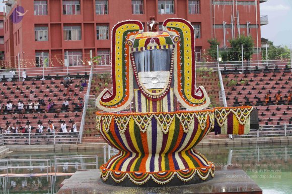 2015-July-31-_Photo_1137_IMG_4395_CMP_WM