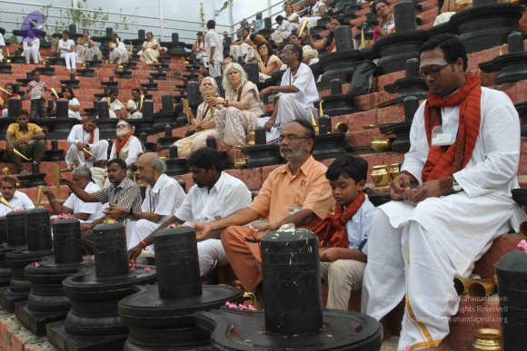 2015-July-31-_Photo_1140_IMG_4397_CMP_WM