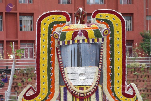 2015-July-31-_Photo_1142_IMG_4398 2_CMP_WM