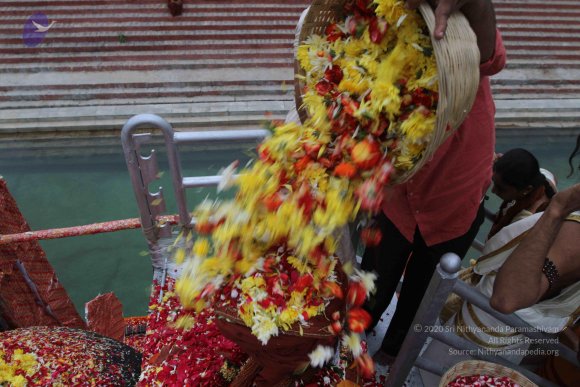 2015-July-31-_Photo_1158_IMG_4406a_CMP_WM