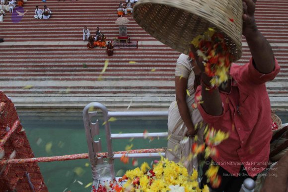 2015-July-31-_Photo_1159_IMG_4407_CMP_WM