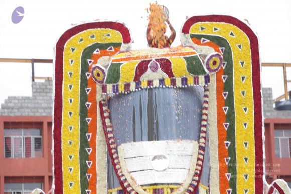 2015-July-31-_Photo_1160_IMG_4407a_CMP_WM