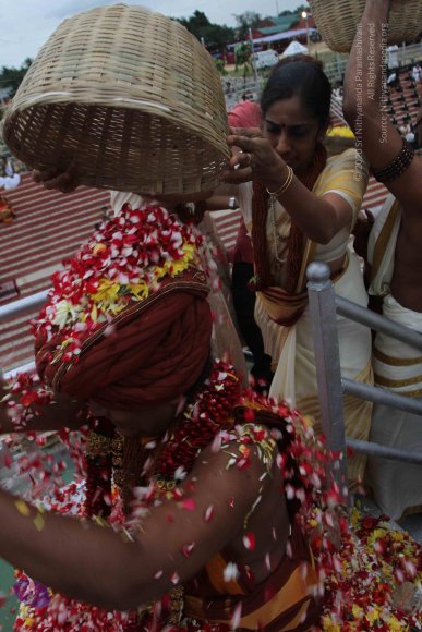 2015-July-31-_Photo_1166_IMG_4410a_CMP_WM